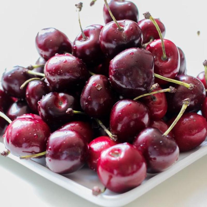 Cherry Mỹ giá sỉ