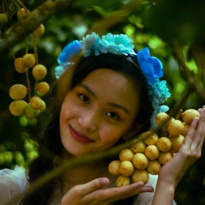 Bòn bon giá sỉ