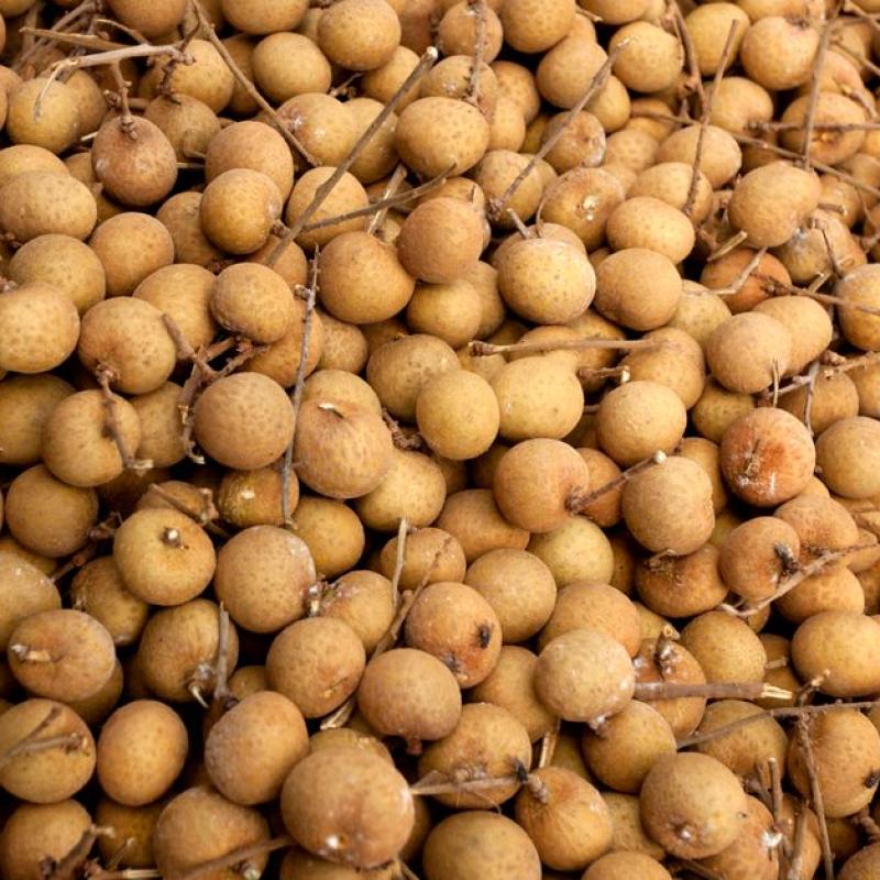 Nhãn lồng nhập khẩu Thái Lan